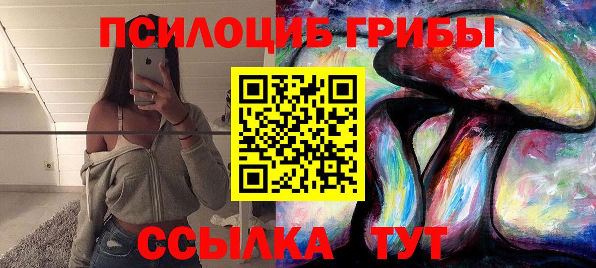 Галлюциногенные грибы Psilocybe Лениногорск