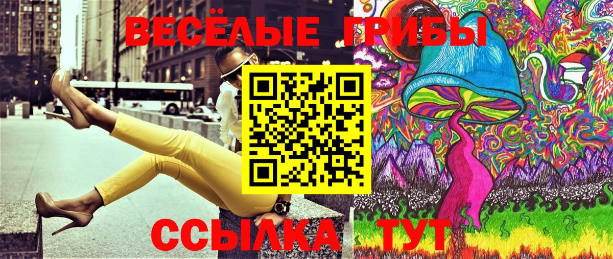 магазин    Псилоцибиновые грибы мицелий  Вход с VPN  Лениногорск 